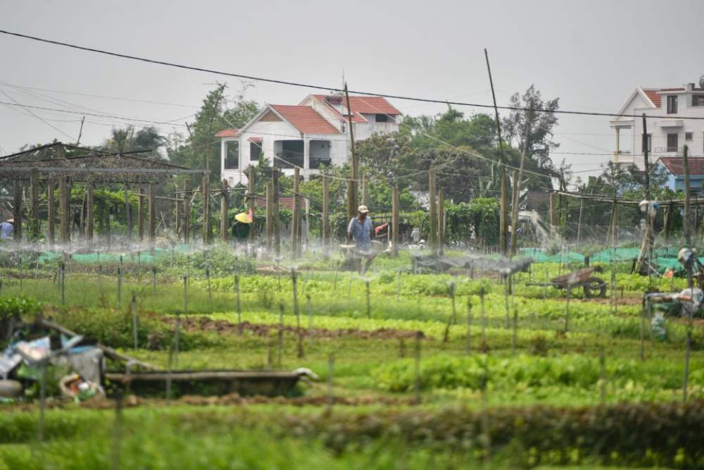 סדנת בישול בכפר הירקות טרא קווה (Tra Que)
